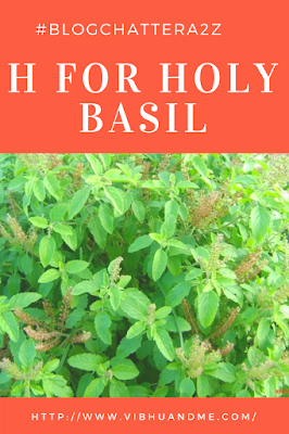 H For Holy Basil - Vibhu & Me